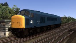 VP BR Blue Class 45/46 