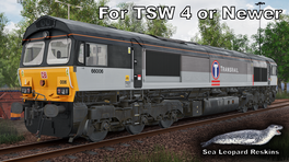 66006 - Transrail