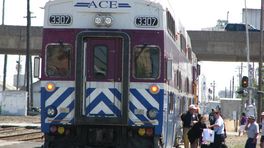 ACE 3307 SS K5LA For the CabCar Miami