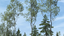 Vegetation Enhancement Pack