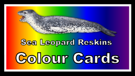 Colour Cards