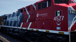 Ferromex 4527