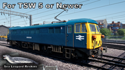 87101 - BR Blue