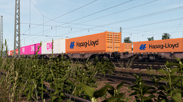 Re-enable White ONE Containers