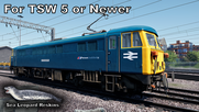 87101 - BR Blue/Network SouthEast