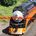 Avatar of Railfan Ric 2025 USA Productions