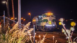 NS 8099 Horn Revised