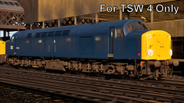 97408 - BR Blue