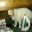 Avatar of robskipworth