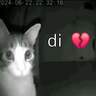 Avatar of JINXY