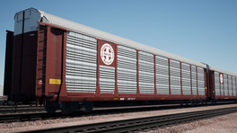 BNSF Autorack Reskin
