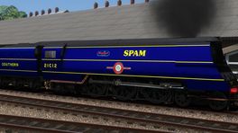 SR Spam Can