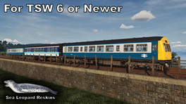P874 - Blue/Grey & Regional Railways