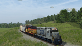 CSX D799