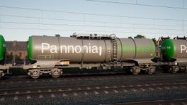 Pannonia Ethanol x Wascosa Zacns [DRA]