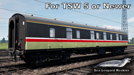 Mark 1 BG - Unbranded Intercity Swallow
