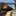 Avatar of a random western Railfan.