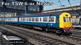 960993- BR Blue & Grey