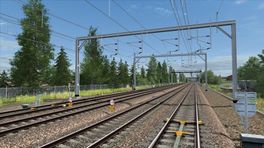 WCML: Trent Valley AP Vegetation Patch