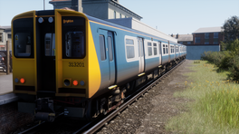 BR Class 313201 Livery