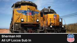 Sherman Hill All UP Sub In 