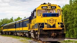 SS Mixed Cast P5 For the Alaska Railroad GP38-2