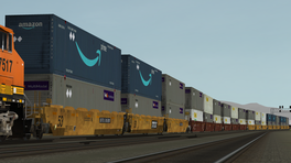BNSF 53ft domestic containers