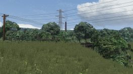 VP Grass