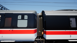 Intercity Swallow Bundle