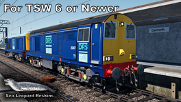 20307 - Direct Rail Services