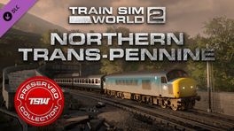 THE NORTHERN STAR