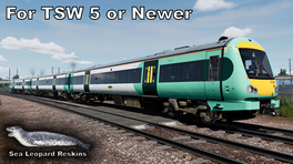 Class 171 - Southern