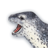 Avatar of Sea Leopard Reskins