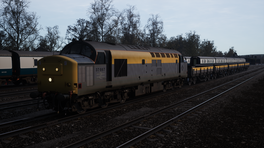 Class 37 in 3 BR era Liveries.