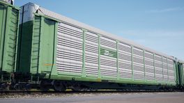 TSW2 Burlington Northern Autorack