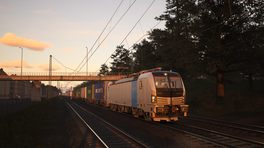 ROB S Container Branding Extended