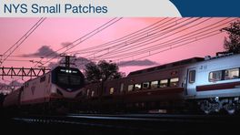 NYS Small Patches