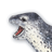 Avatar of Sea Leopard Reskins