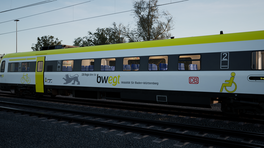 BR612 with bwegt yellow skin