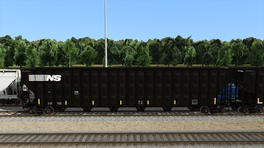 NS and SOUTHERN woodchip cars