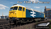 47513 - BR Large Logo Blue