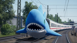 SHARKZZ