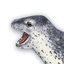 Avatar of Sea Leopard Reskins
