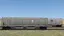 Canadian Trinity 5161 Pack