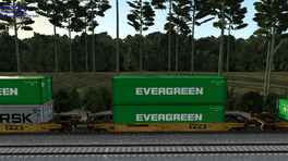 40' wellcars EVERGREEN MAERSK HANJIN AND KLINE