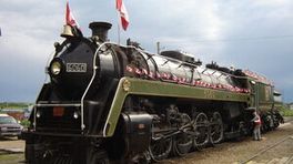 CN 3254 Whistle Pack
