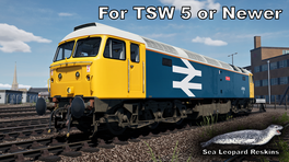 47513 - BR Large Logo Blue