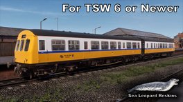 2 Car Class 101 - Tyne & Wear PTE 