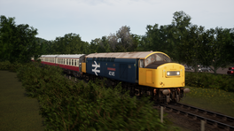 Class 40 Horn replacement