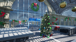 Frankfurt Fulda Christmas Trees & More